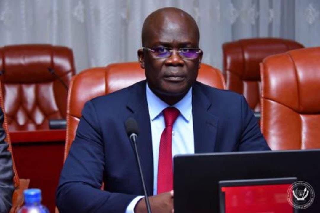 Les entreprises publiques de la RDC « traversent une crise profonde » (Ministre du Portefeuille)