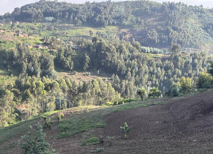 Lubero : la coalition FARDC-UPDF déloge un groupe Maï-Maï de la colline Muhola