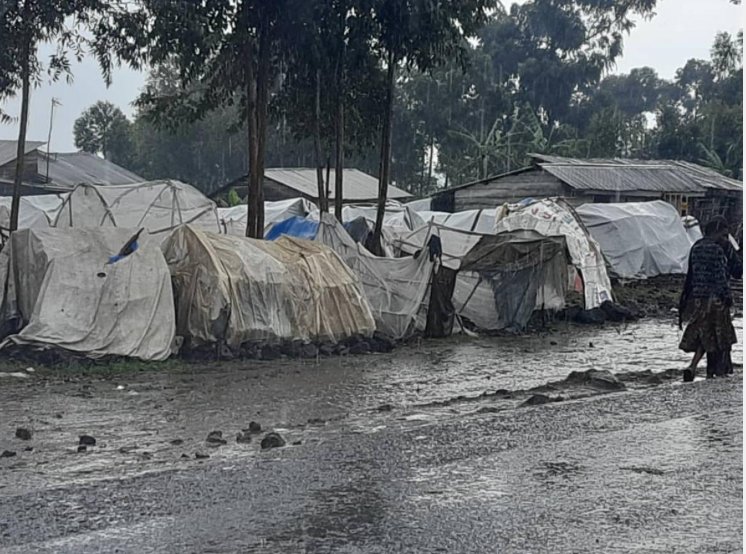 Goma : des décès de personnes déplacées de 3e âge signalés au camp Don Bosco
