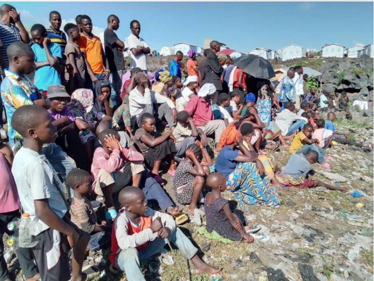 Grand Bandundu : plus de 550 000 personnes déplacées en trois ans à la suite d’exactions de la milice Mobondo( ONG)