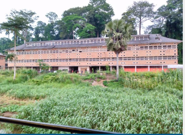 Isangi : 5 associations paysannes bénéficient d'unités de transformation agricole à Yangambi
