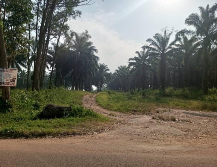 Au moins 11 agriculteurs pris en otage par des hommes armés non identifiés au village Mbongya