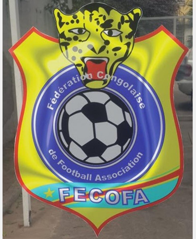 Foot-RDC : 3 ligues provinciales élisent leurs dirigeants