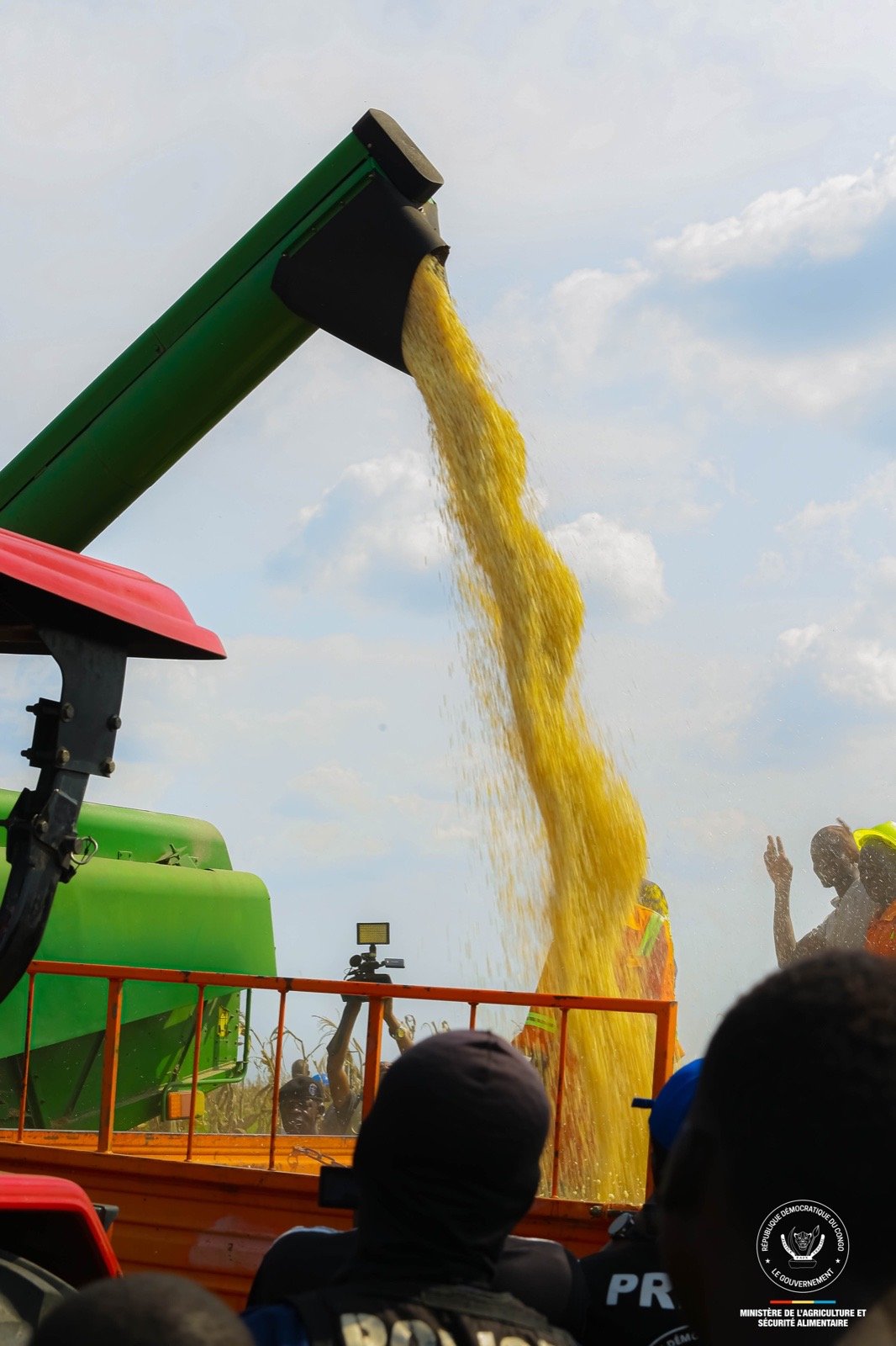 Ministère de l’agriculture et sécurité alimentaire : Lancement de la récolte des maïs